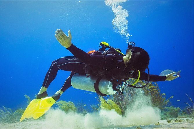 Chankanaab Cozumel Scuba Diving - An In-Depth Look at the Tour Experience