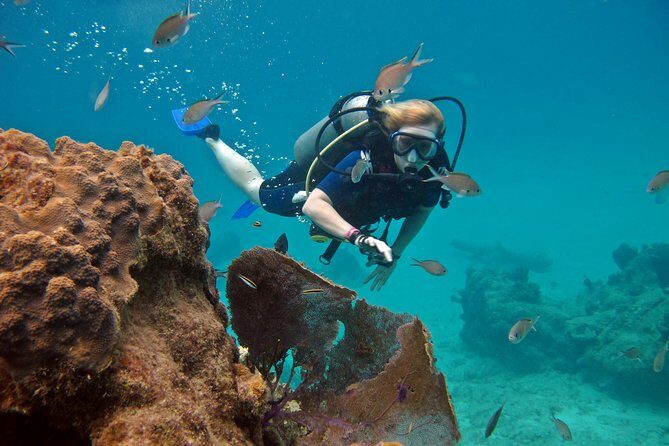 Chankanaab Cozumel Scuba Diving - The Park and Post-Dive Relaxation