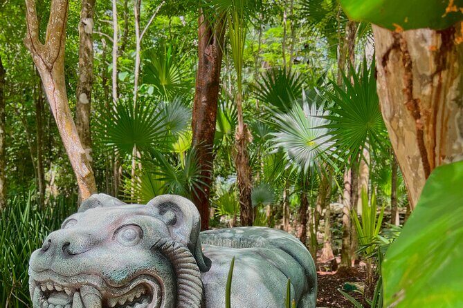 Chankanaab Park Admission + Welcome drink + Snorkeling - The Food, Drinks, and Additional Expenses