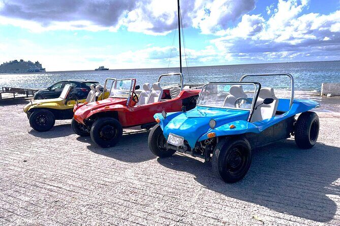 Chankanaab Park and Island Tour by Buggy with Mexican Lunch - What Travelers Say