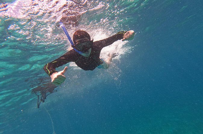Chankanaab Park entrance ticket with snorkeling and buffet included - Who Will Love This Tour?