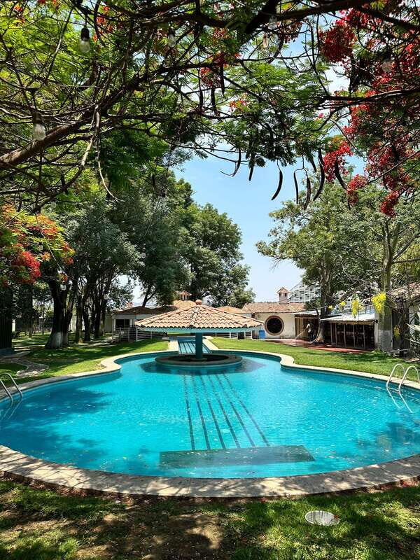 Chapala and Ajijic Tour from Guadalajara with 3 Potrillos - Who Will Love This Tour?