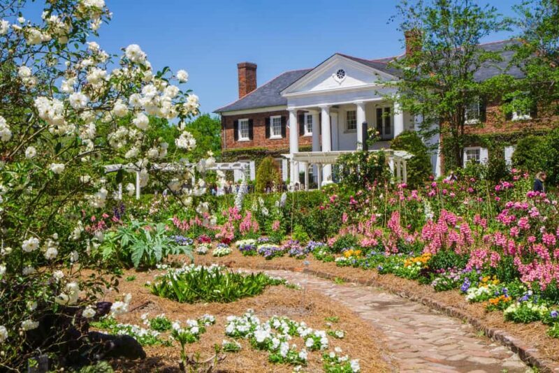 Charleston: Boone Hall Plantation Tour - The Value Proposition
