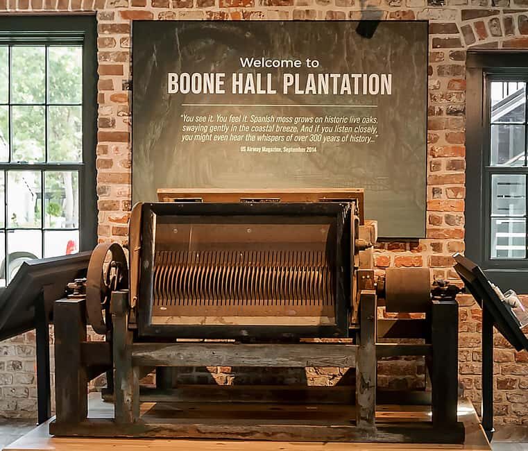 Charleston: Boone Hall Plantation Tour - Who Should Consider This Tour?