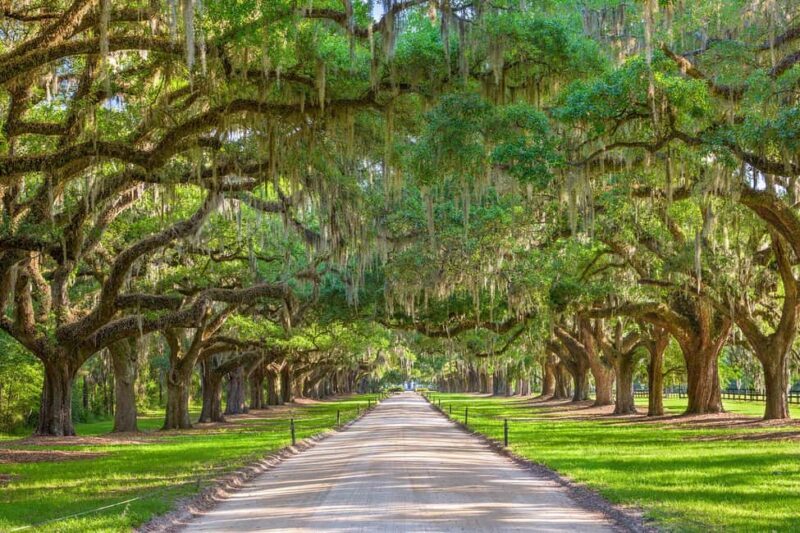 Charleston: Boone Hall Plantation Tour - FAQ