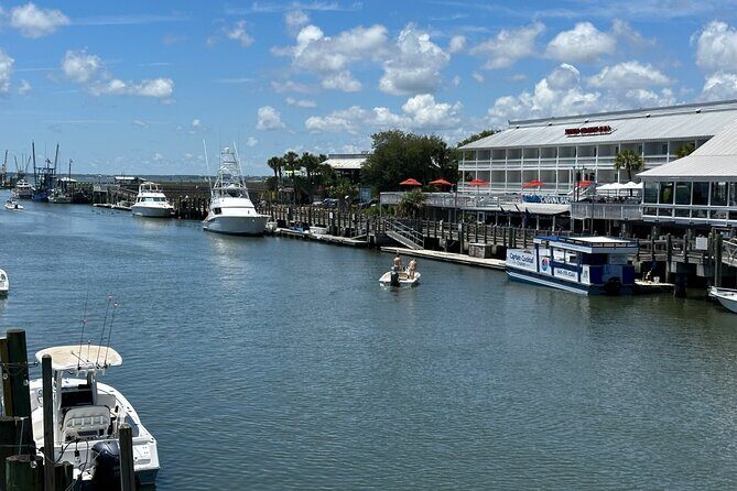 Charleston Dolphin Cruise Scenic Harbor Adventure - Group Size and Accessibility