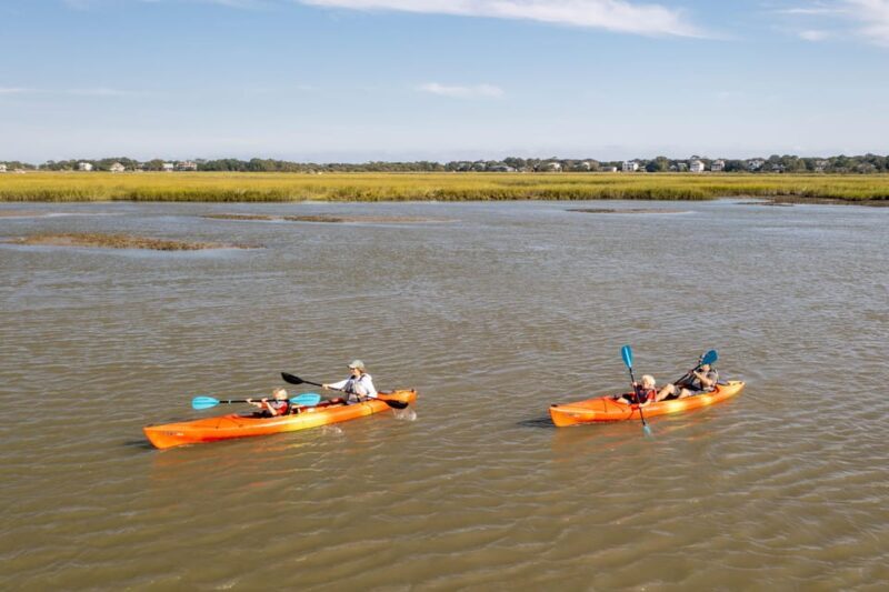 Charleston: Folly Beach Afternoon Kayak Dolphin Safari - An Honest Look at the Folly Beach Kayak Safari