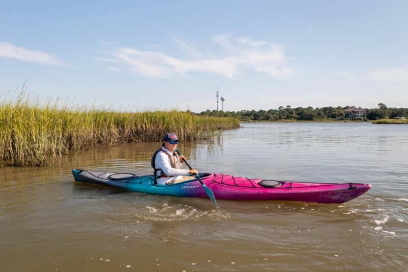Charleston: Folly Beach Morning Kayak Dolphin Safari - Key Points