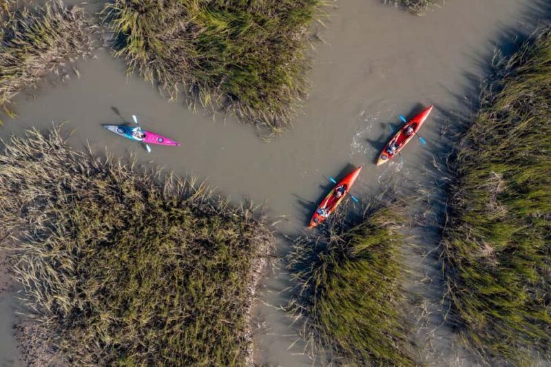 Charleston: Folly Beach Morning Kayak Dolphin Safari - An Honest Look at the Folly Beach Kayak Safari