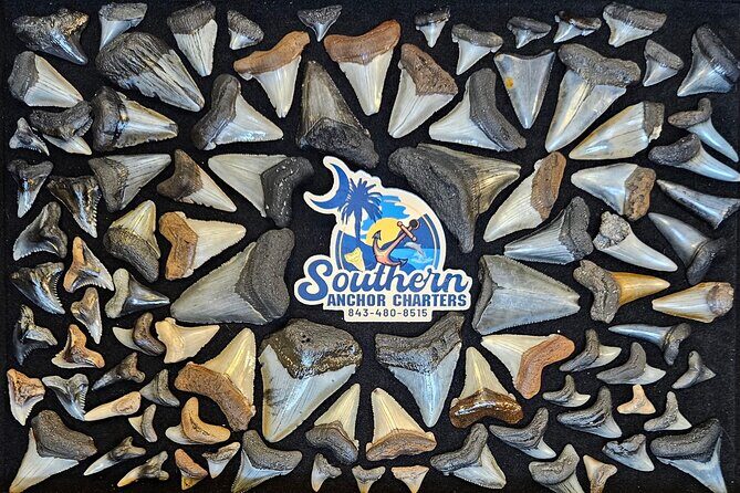 Charleston/Folly Beach Shark Tooth and fossil Island Drop off - What’s Included and What’s Not?