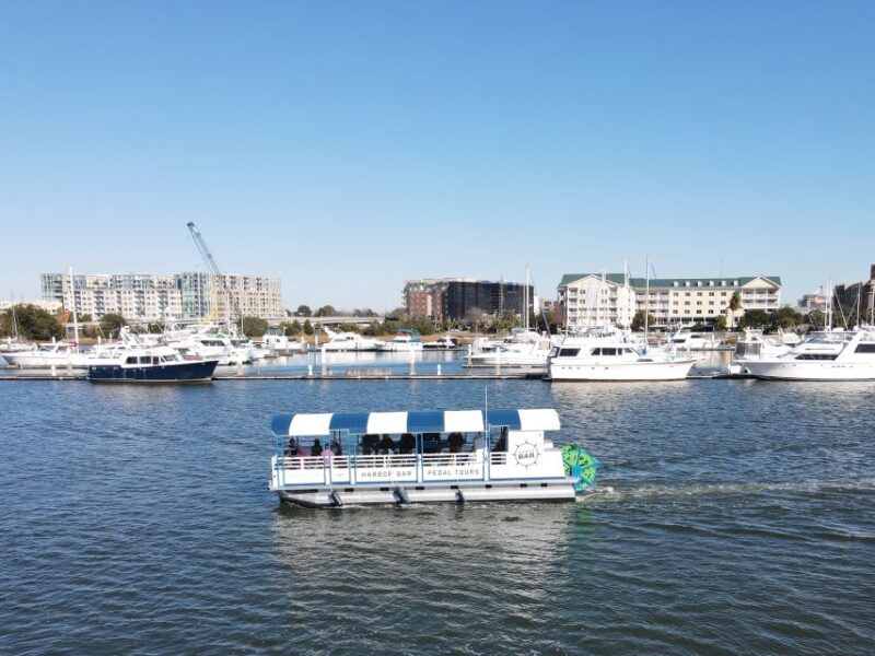 Charleston: Harbor Bar Pedal Boat Party Cruise - An Overview of the Experience