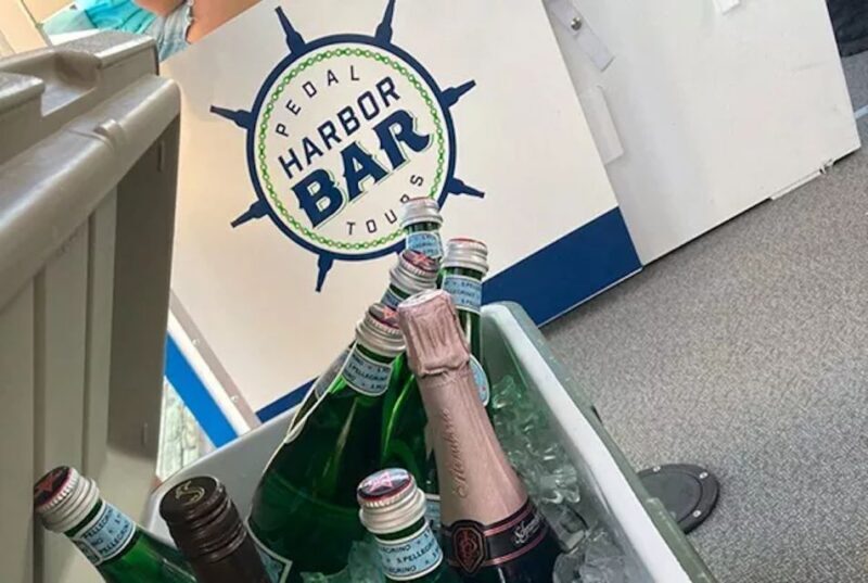 Charleston: Harbor Bar Pedal Boat Party Cruise - Practical Details and What to Prepare