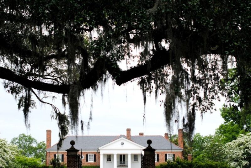 Charleston: Historic District & Plantation VIP Private Tour - Who Is This Tour Best For?