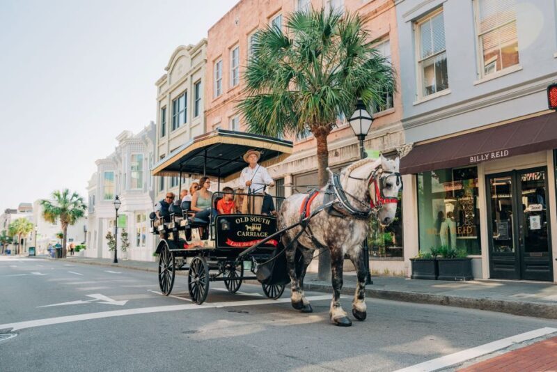 Charleston: Historical Downtown Tour by Horse-drawn Carriage - Authentic Experiences from Traveler Reviews