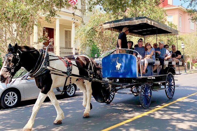 Charleston Horse & Carriage Historic Sightseeing Tour - Who Should Take This Tour?