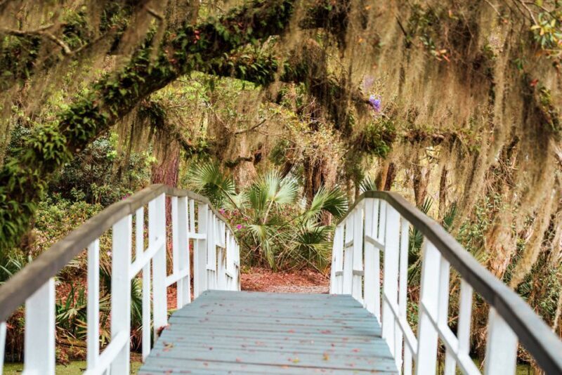 Charleston: Magnolia Plantation Entry & Tour with Transport - Getting There and How It Works
