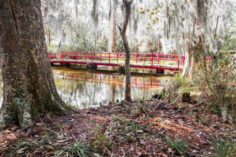 Charleston: Magnolia Plantation Entry & Tour with Transport - Wildlife & the Nature Tram Ride