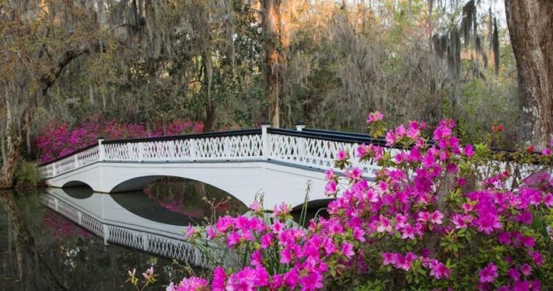 Charleston: Magnolia Plantation Entry & Tour with Transport - What Do Travelers Say?