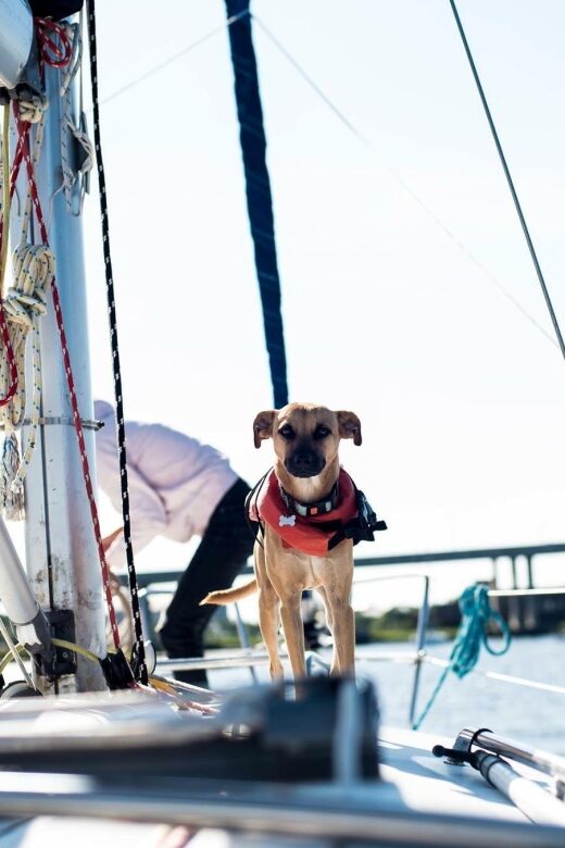 Charleston: Private BYOB Luxury Yacht Cruise - Is It Worth the Price?