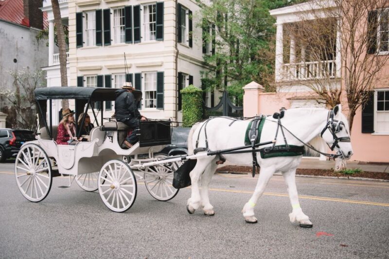 Charleston, SC: Private Daytime Horse-Drawn Carriage Ride - The Sum Up
