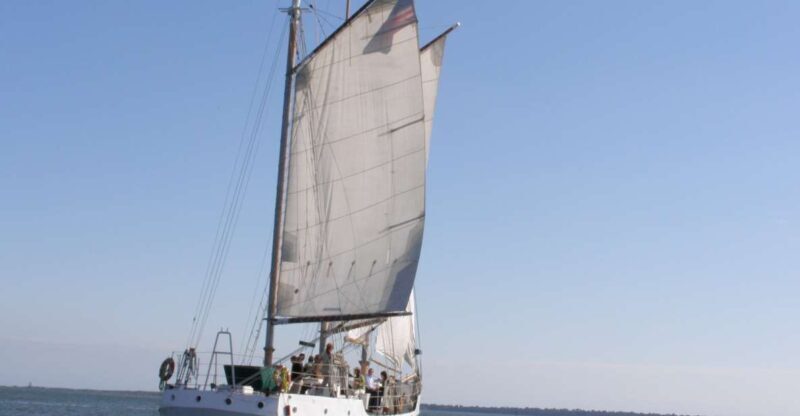 Charleston: Schooner Sailing Harbor Tour & Dolphin Watch - What to Bring & Considerations