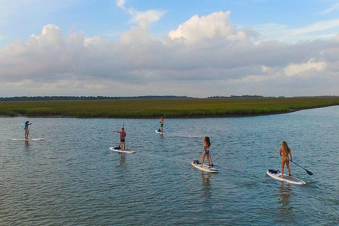 Charleston Stand-Up Paddleboard Eco Tour - Authentic Experiences and What Travelers Say