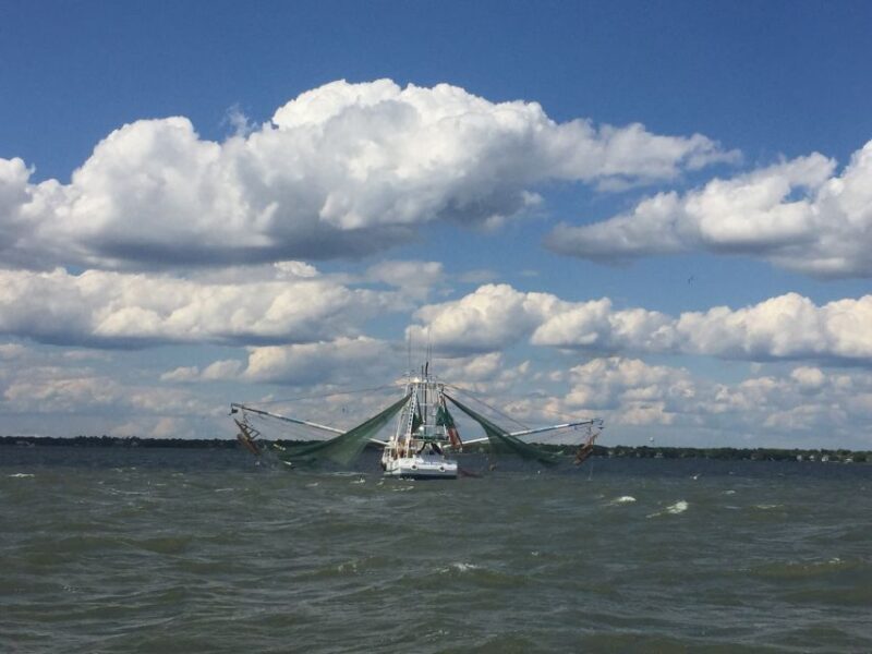 Charleston: Sunset Harbor Cruise - Key Points