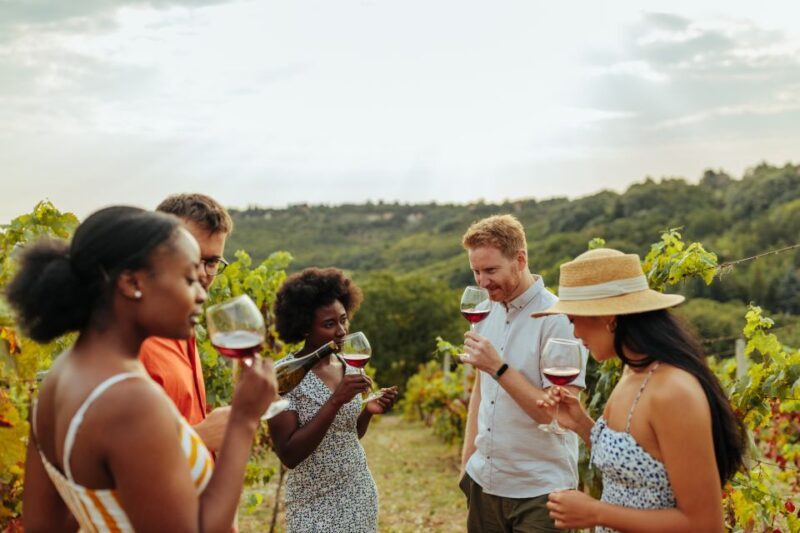 Charleston: Wadmalaw Island Wine Tasting and Tea Garden Trip - Key Points