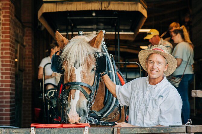 Charlestons Old South Carriage Historic Horse & Carriage Tour - Exploring Charleston’s Old South Carriage Tour: A Detailed Look
