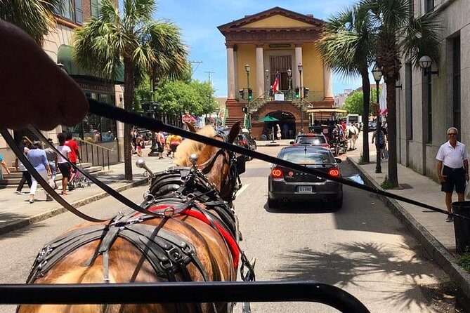 Charlestons Old South Carriage Historic Horse & Carriage Tour - Final Thoughts