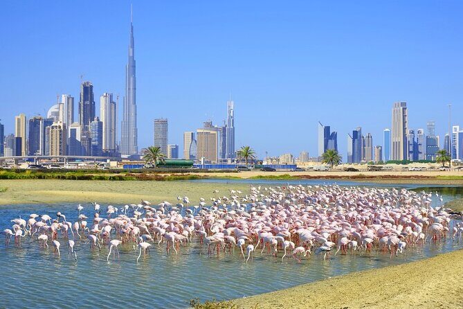 Charming Dubai City Tour with The View at The Palm - Scenic Tourist Attraction - The Itinerary in Detail: What Youll See and Why It Matters