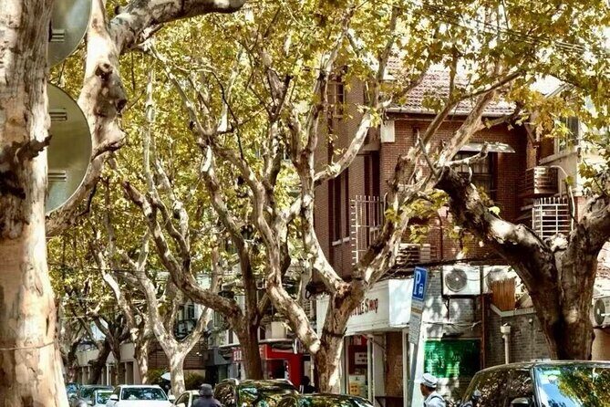 Charming Shanghai French Concession Mini-group Walking Tour - Who Will Love This Tour?