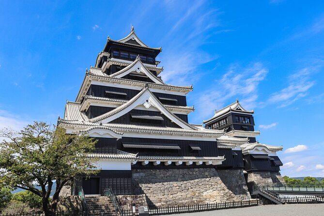 Charms of Kumamoto and its Rich Nature Private Walking Tour - Who Will Love This Tour?