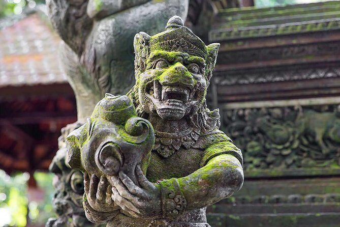 Charter Premier Vehicle with Driver at Bali - 5 Hours Usage - Who Will Benefit Most?