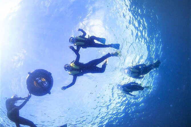 Charter Snorkeling (near Churaumi Aquarium) Free photo gift - The Breakdown of the Itinerary