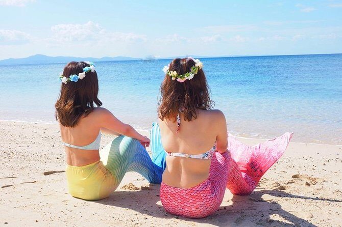 Charter Snorkeling (near Churaumi Aquarium) Free photo gift - Who Should Consider This Tour?