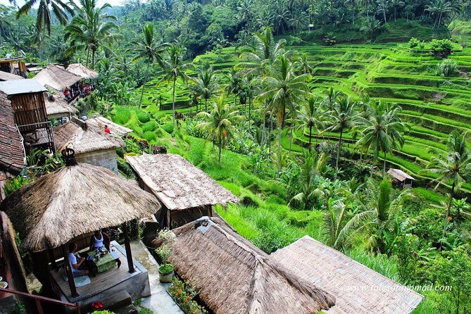 Charter Standard Vehicle with Driver at Bali- 5 Hours Usage - What to Expect from the Bali Private Car Charter