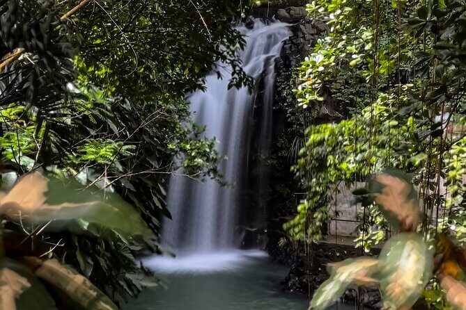 Chasing Waterfalls in Grenada Hike and Adventure Tours - An In-Depth Look at the Waterfalls Tour