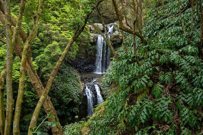 Chasing Waterfalls in the Azores - Why This Tour Works for You