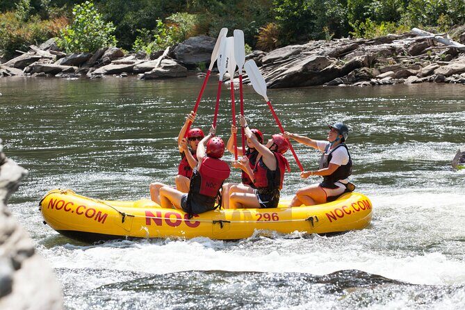 Chattooga River Rafting - Mild: Section 3 - The Scenic and Wildlife Experience