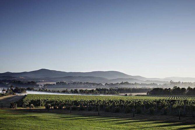 Chauffeured Cheese and Wine Tour with 3 Course Lunch - For 2 - FAQ: Your Questions Answered