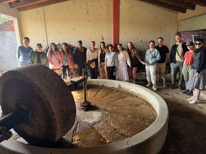 Check out Hierve el Agua, Mitla, the Tule Tree, Rugs, and a Mezcal Distillery Tour - FAQ