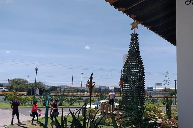 Cheese and Wine Route, Private Tour from Mexico City - Final Thoughts