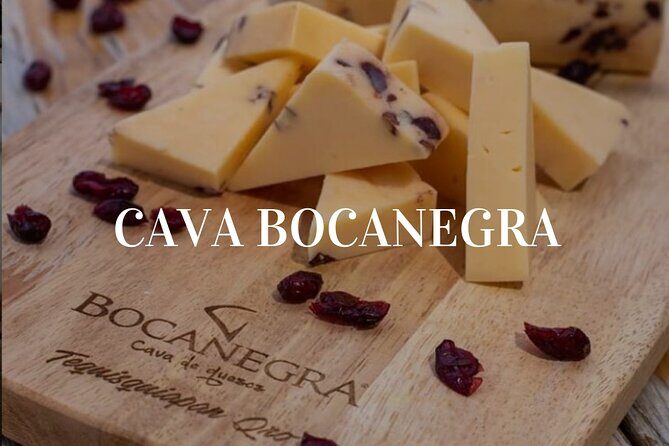 Cheese and Wine Route Tour with starting from Querétaro - The Real Value of This Experience