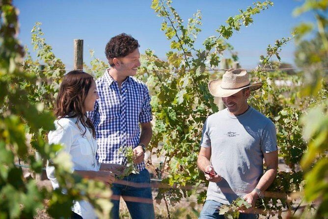 Cheese and Wine Route Tour with starting from Querétaro - Who Should Consider This Tour?