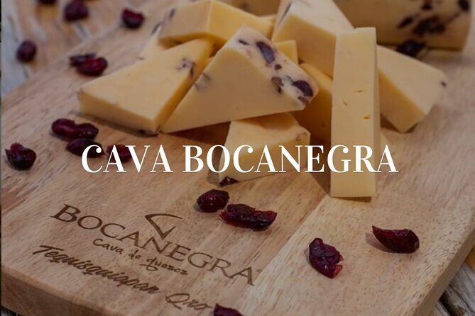 Cheese and Wine Route with 2 Towns, starting from Querétaro - Who Should Consider This Tour