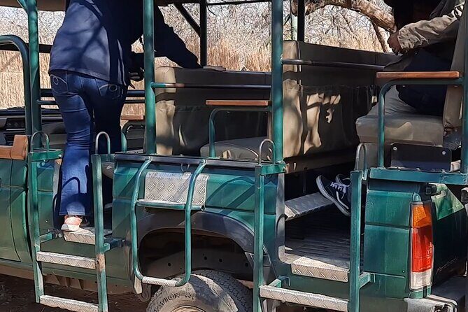 Cheetah + Wild dog Sanctuary, Tribal Dance Lunch + Lion Park - Who Should Consider This Tour?