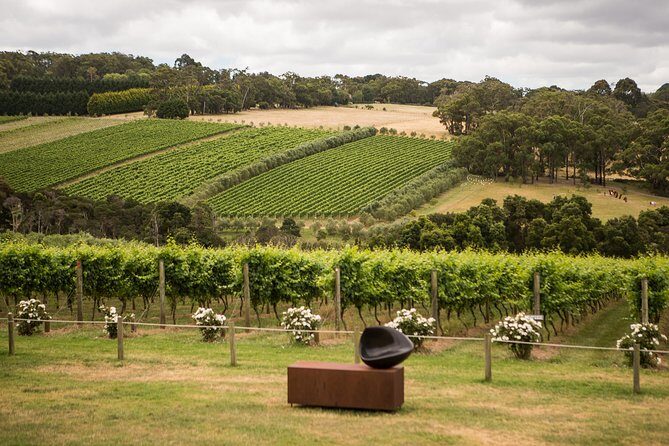 Chef Jacqui's French & Indigenous Australian Cooking Experience - Who Should Consider This Experience?