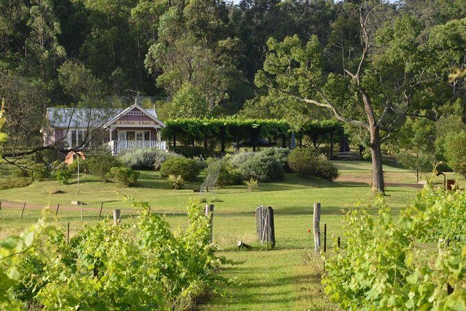 Chef-Led Hunter Valley Gourmet Food and Wine Day Tour from Sydney - What You Can Expect from the Itinerary
