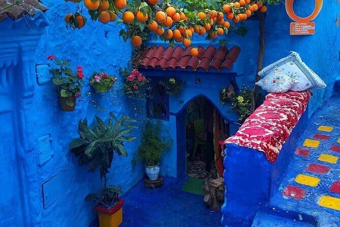 Chefchaouen Bleu City 2 Days Trip from Casablanca - An In-Depth Look at the Tour Itinerary